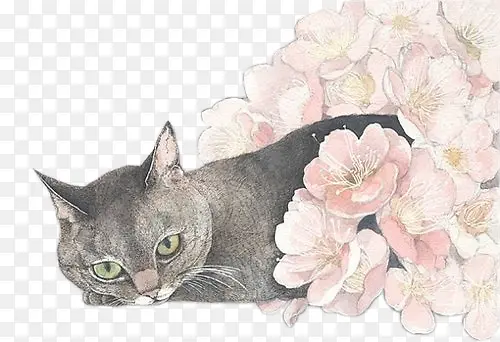 花丛猫素材图