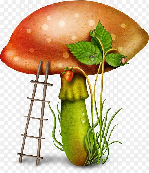 卡通可爱蘑菇