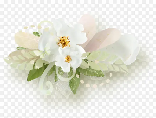白色花朵花瓣浪漫装饰