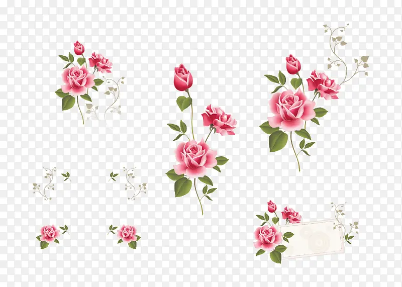 套组矢量玫瑰花装饰花纹