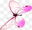 粉色透明蝴蝶