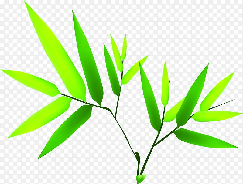 绿色卡通创意竹叶