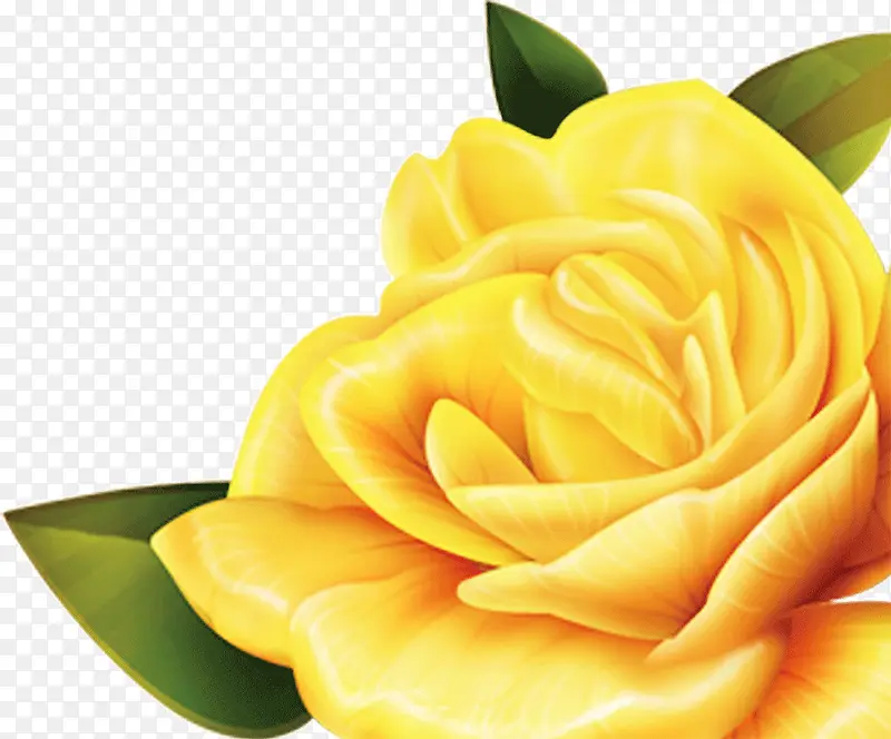 黄色浪漫花朵大花