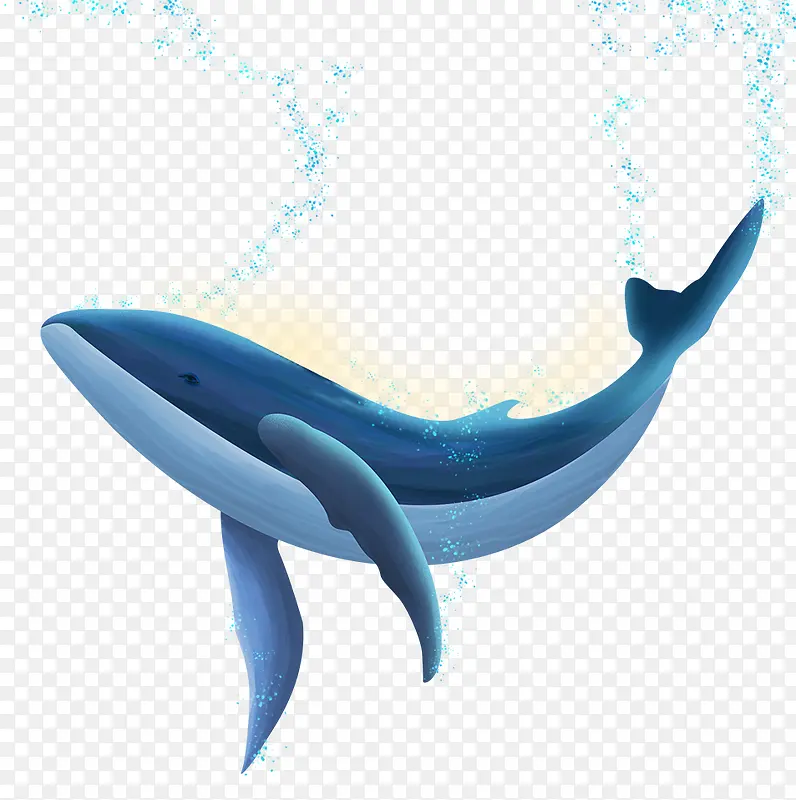 国际海洋日手绘海洋动物装饰插图