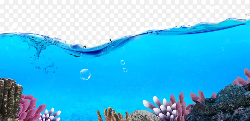 海洋海底生物