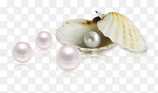 珍珠贝壳四个珍珠
