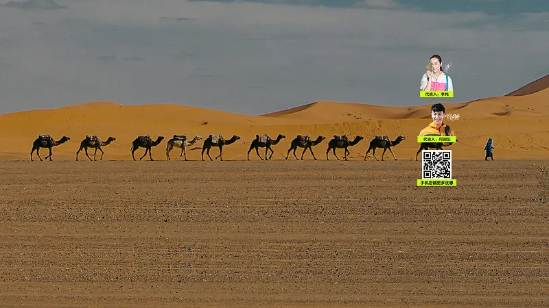 天空沙漠骆驼风景