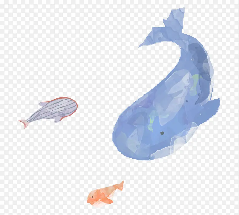 大鱼手绘卡通韩国可爱