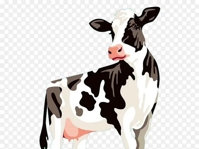 奶牛牛手绘插画