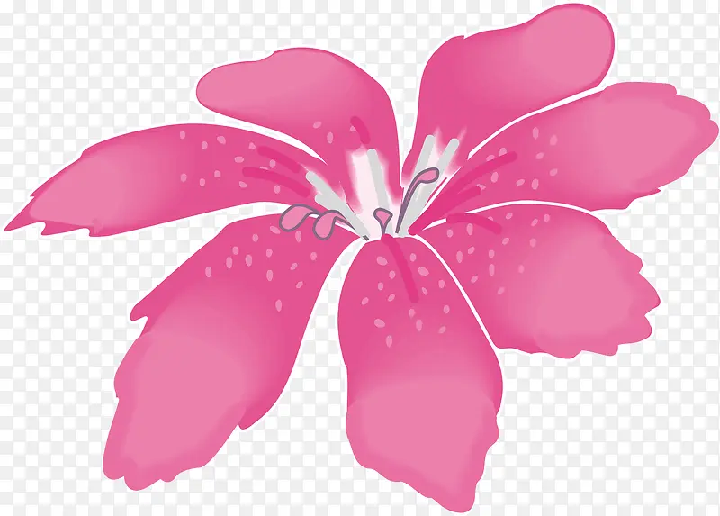 粉色优雅卡通花朵
