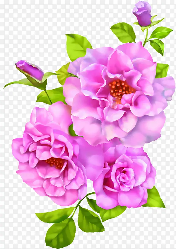 粉色美丽花朵设计