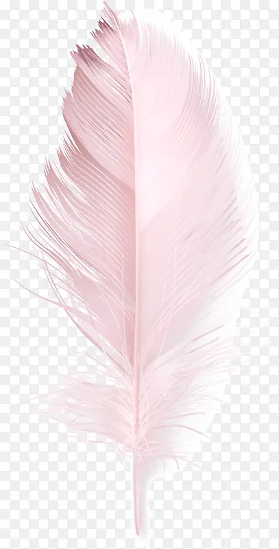 粉色羽毛