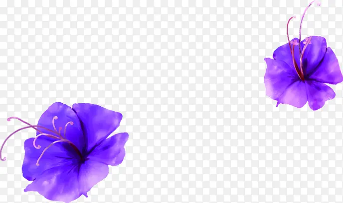 紫色韩版唯美花朵