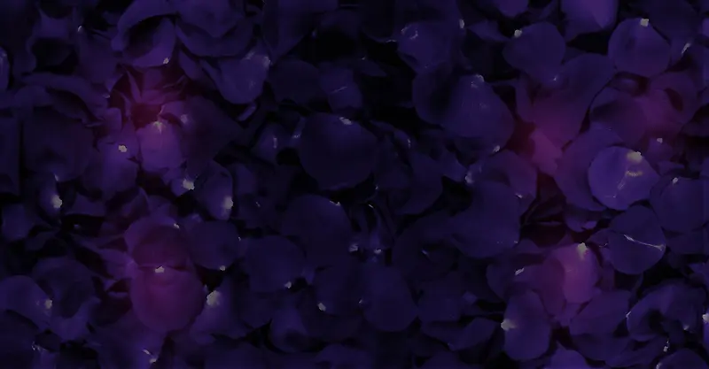 紫色炫酷花朵重叠