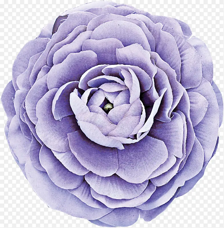 紫色唯美花朵