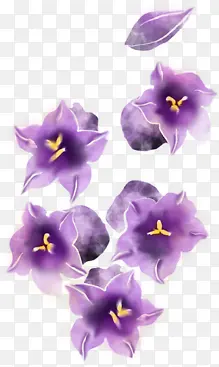 紫色梦幻花朵美景