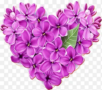 紫色花朵心形