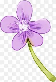 清新紫色春日花朵