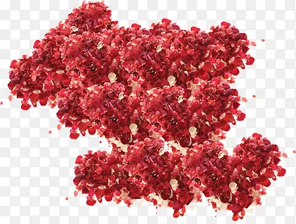 大红色花串元素