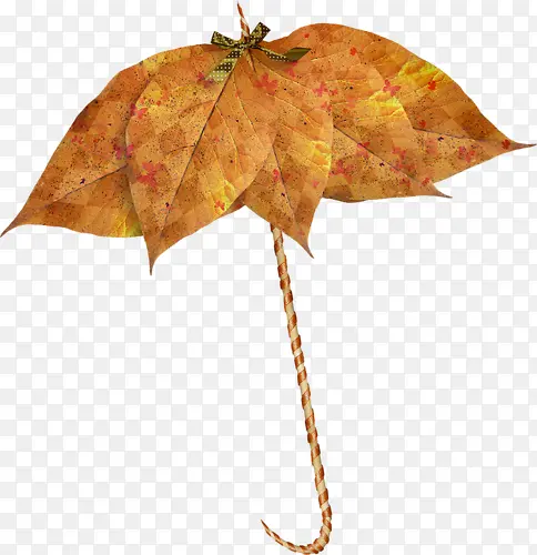 创意树叶雨伞