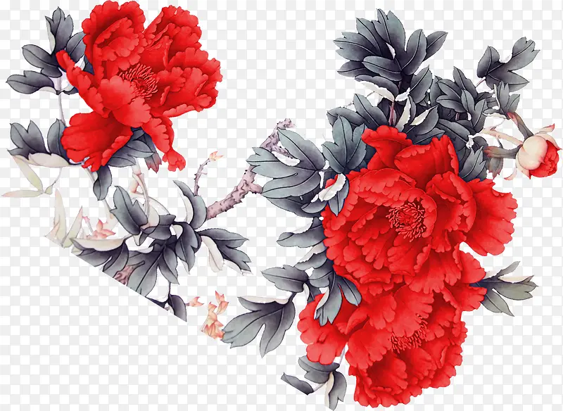 红色红色鲜艳花朵