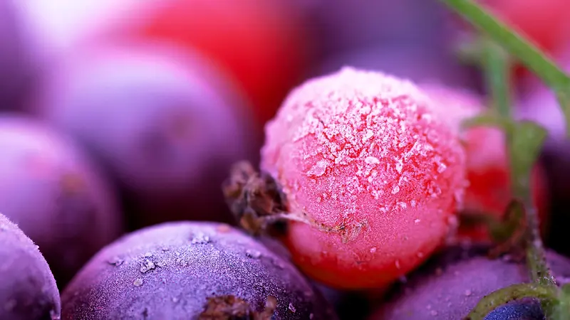 粉紫色高清水果冰花