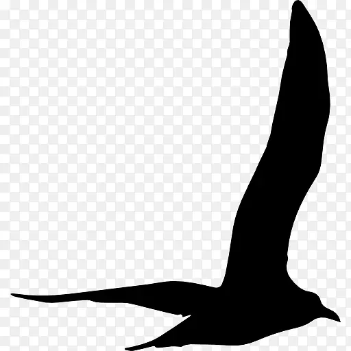 海鸥飞翔的鸟形图标