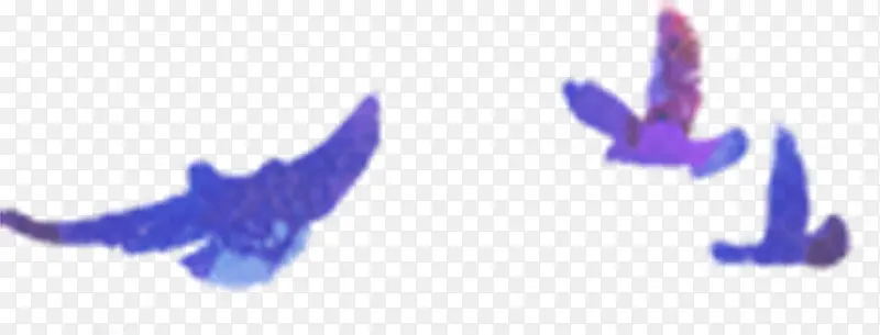 紫色飞鸟插画手绘