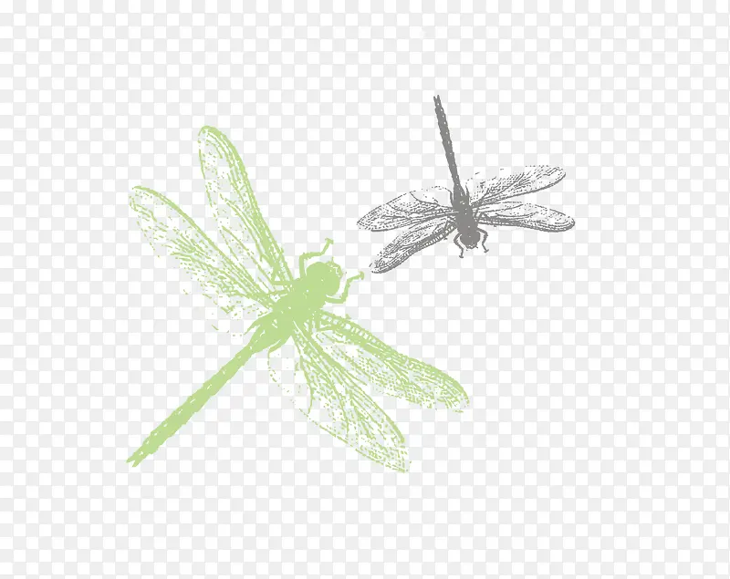 蜻蜓矢量手绘水彩