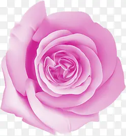 分层创意手绘紫色玫瑰