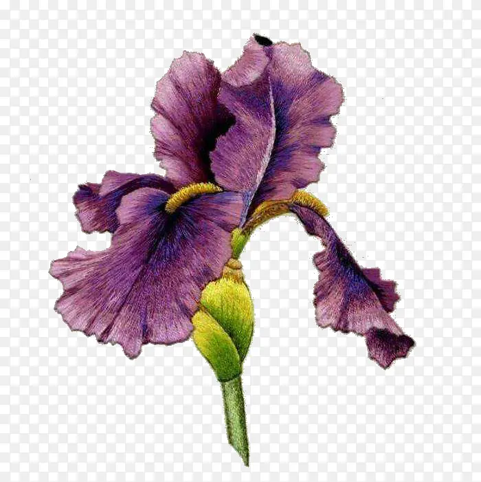 紫色刺绣花儿