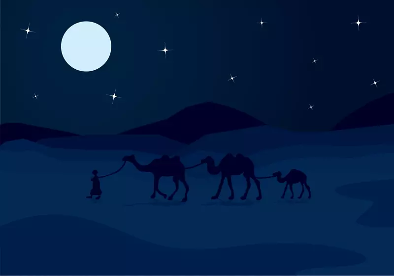 月光夜空图-夜空骆驼