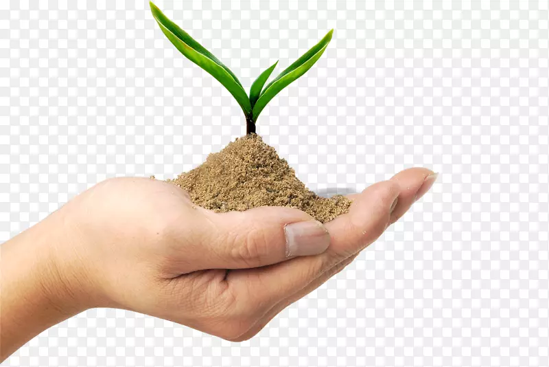 环保可持续生活计划-植树节创意