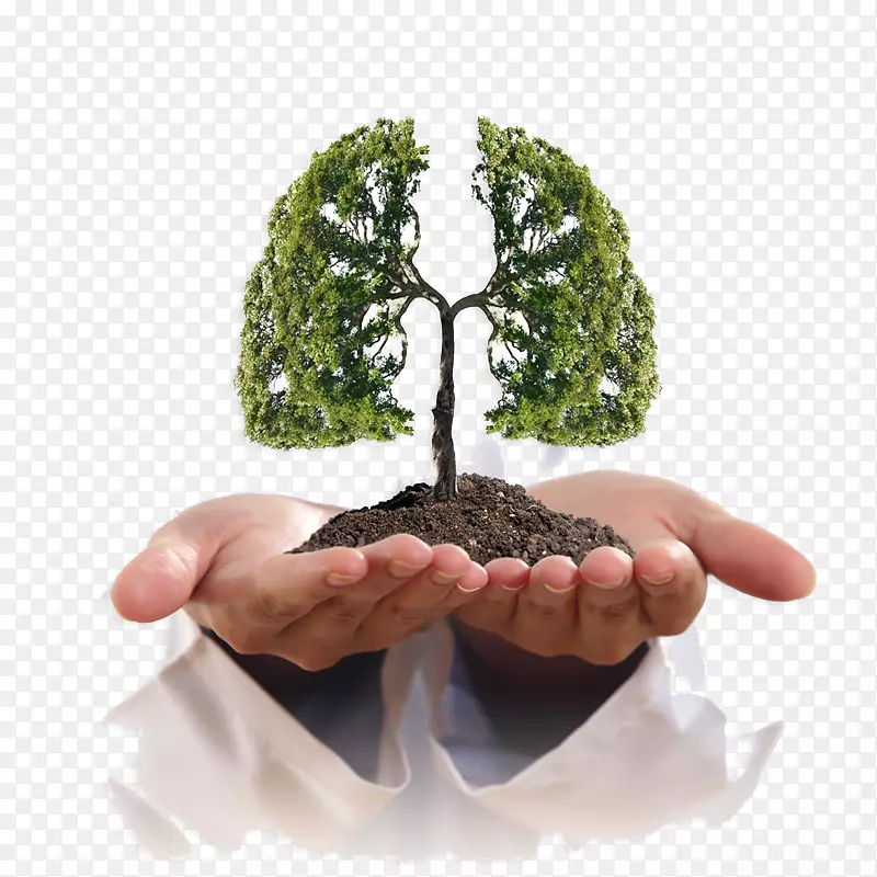 肺癌吸烟症状-创造性肺