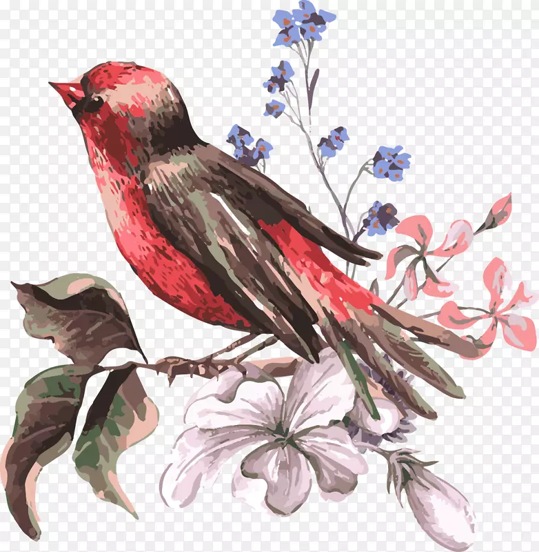 鸟花图-手绘中式鸟