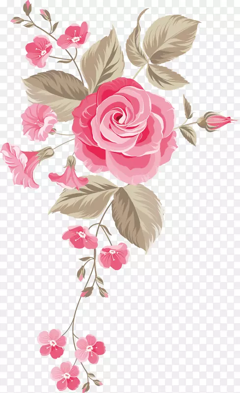 花园玫瑰、蜈蚣玫瑰、花卉设计、切花、花束.手绘花卉背景