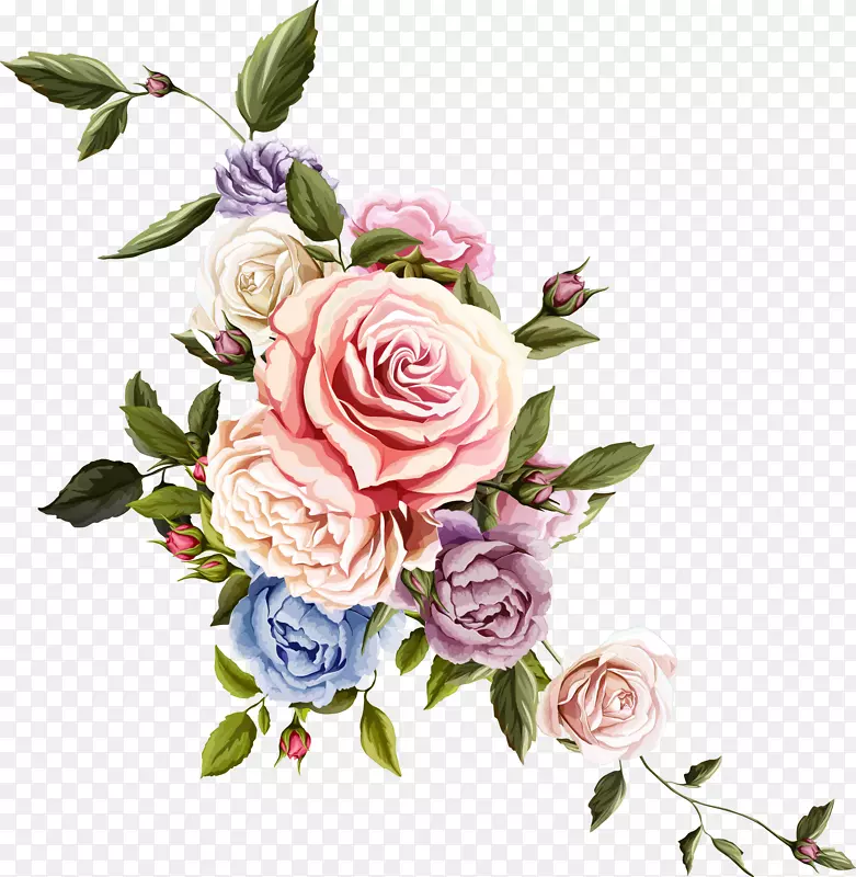 花卉设计玫瑰画-美丽的花朵