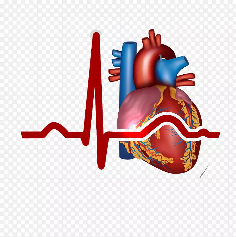 心肌梗塞心血管病症状-心脏，