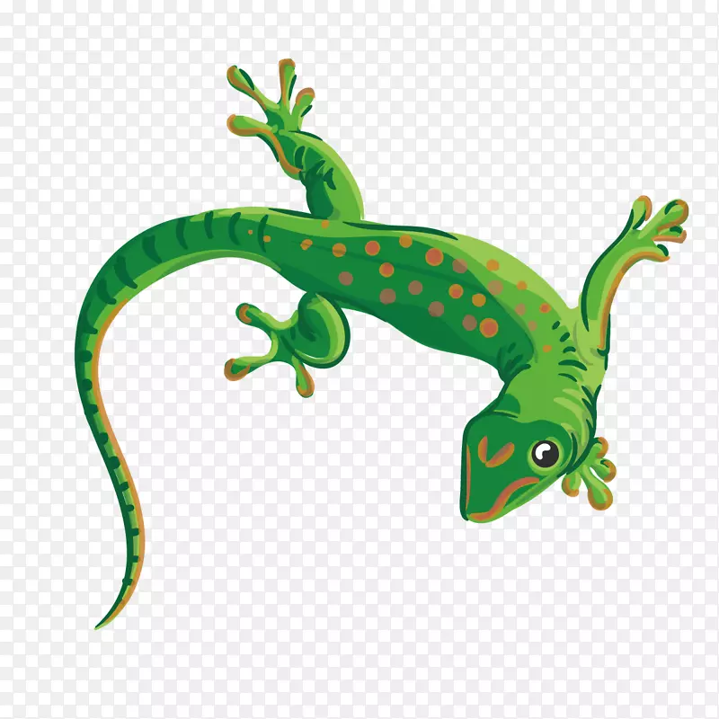 爬行动物蜥蜴变色龙插图-绿壁虎