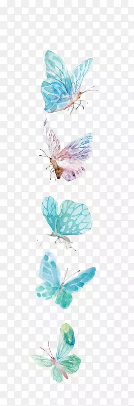 蝴蝶图标-水彩画蝴蝶