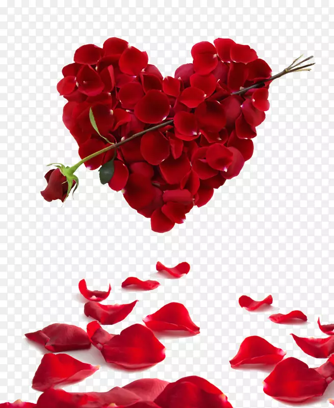 玫瑰心花情人节壁纸-花瓣，心