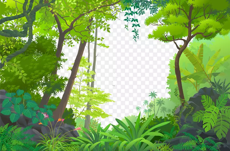 热带雨林-卡通森林