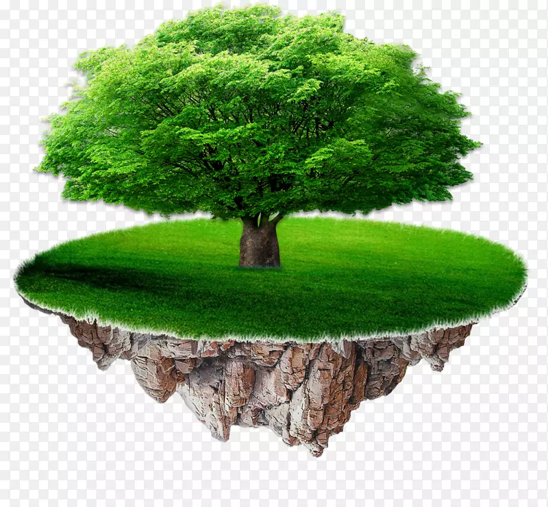 人寿保险公司人力资源管理-悬岛上的一棵树