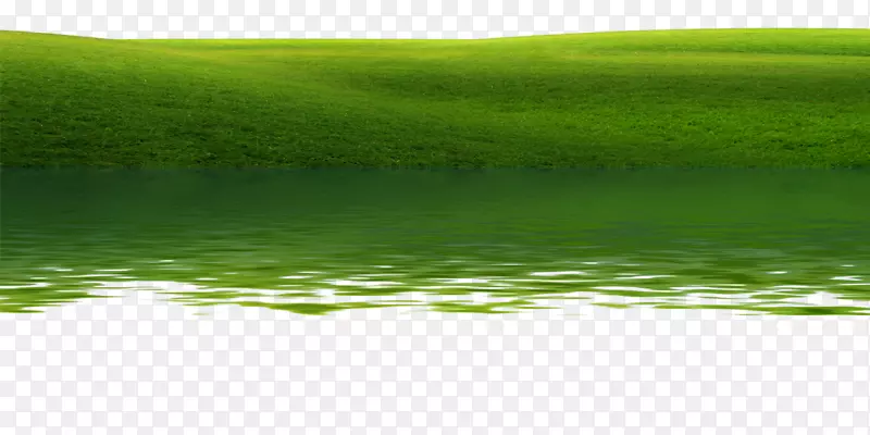 水资源草坪草甸绿色壁纸水边草甸