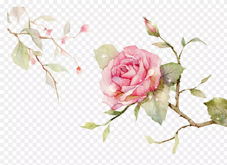 昆虫夏草玫瑰花园玫瑰花卉设计切花花束中式手绘花卉