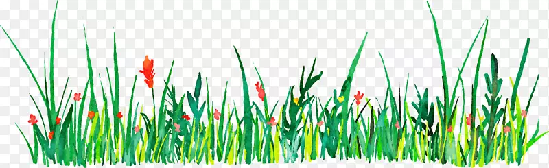 图标-绿草水彩装饰图案