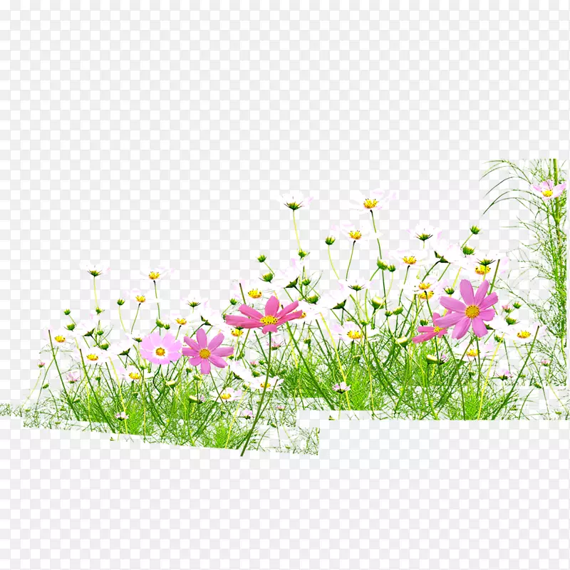 花，草，春，开