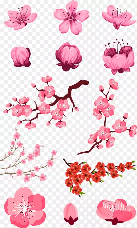 Adobe插画师下载-粉红桃子