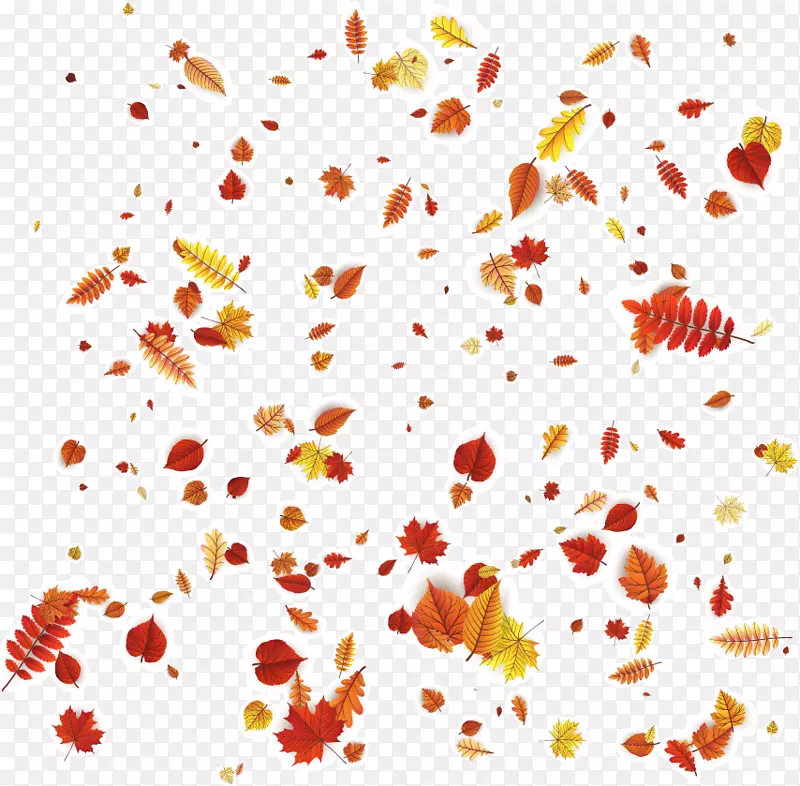 花瓣花卉设计橙色图案-秋叶飘落