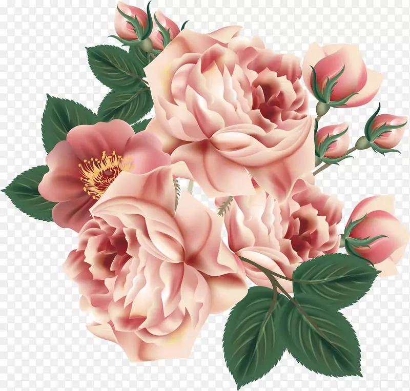 冠花玫瑰花卉设计花园玫瑰.花卉图案元素